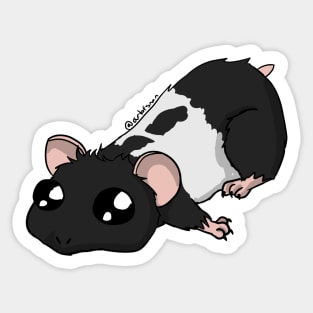 A little Hammie - Black banded Sticker